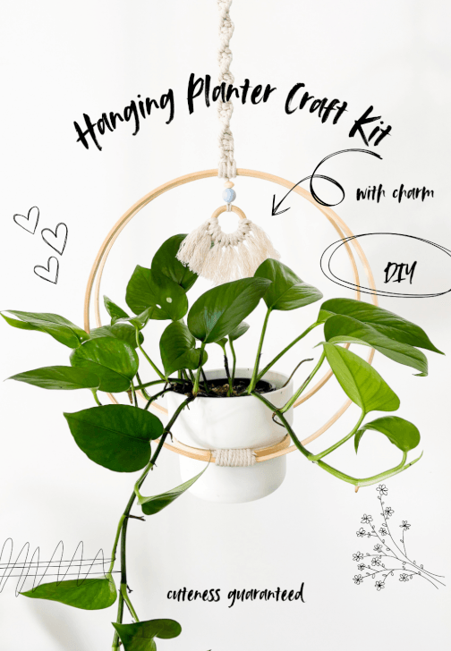 Hanging Planter with Charm Craft Kit