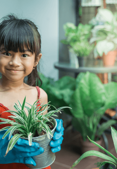 Herb Planting Workshop for Kids