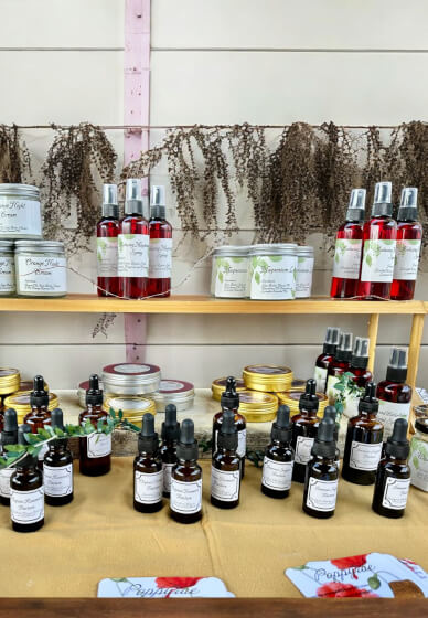 Herbal Basics Workshop