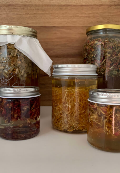 Herbal Renewal: Building Your Winter Apothecary Workshop