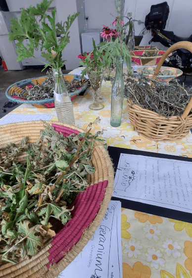 Herbal Tea Workshop