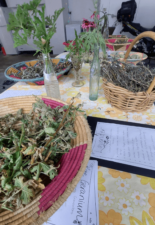 Herbal Tea Workshop