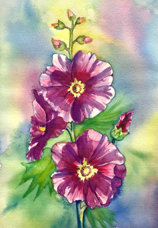 Hollyhock Watercolour Workshop with Ferie Sadeghi
