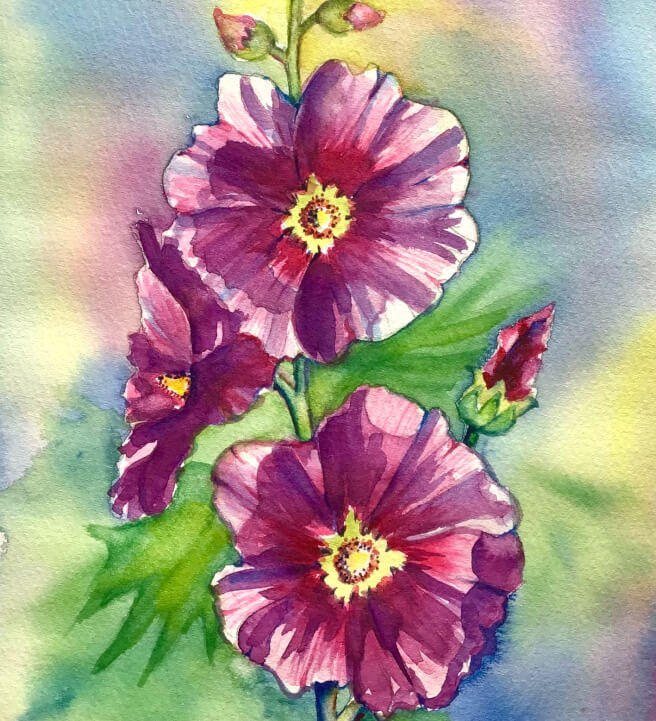 Hollyhock Watercolour Workshop with Ferie Sadeghi