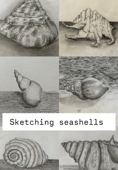 Homeschooling Art Term Course