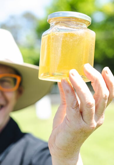 Honey Tasting and Beehive Experience: Honey and Hive