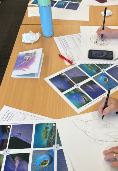 Illustration and Marine Discovery Workshop