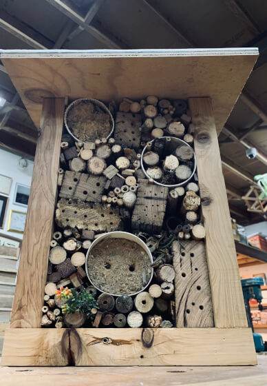 Insect Hotel Building Workshop