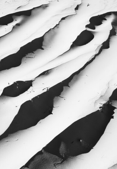 Intermediate Photography Workshop