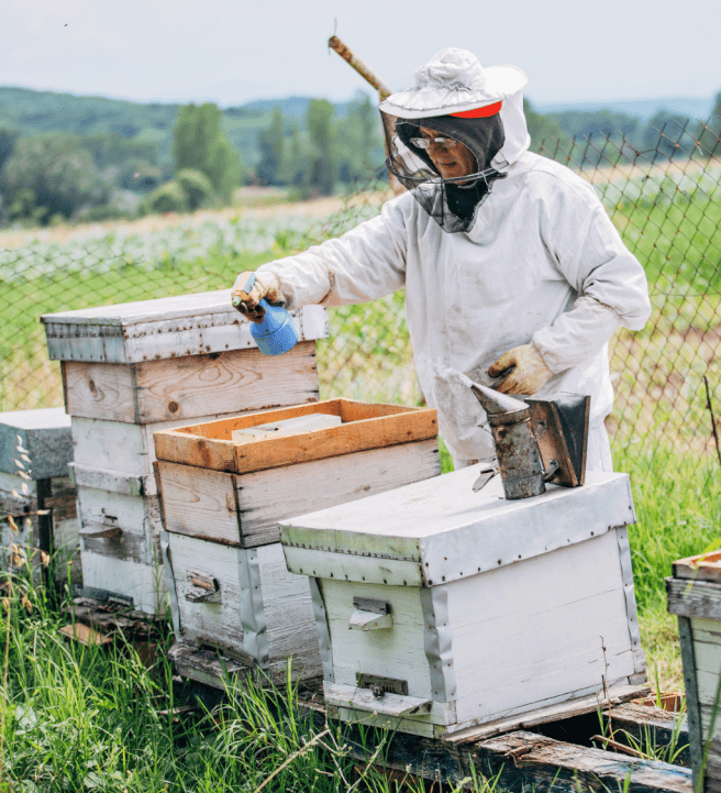 Intro to Beekeeping Workshop: Hive Basics and Honey Harvest