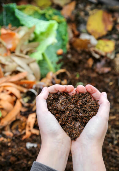 Introduction to Gardening for Beginners