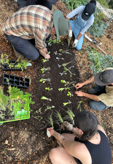 Introduction to Gardening Workshop: Grow a Food Forest