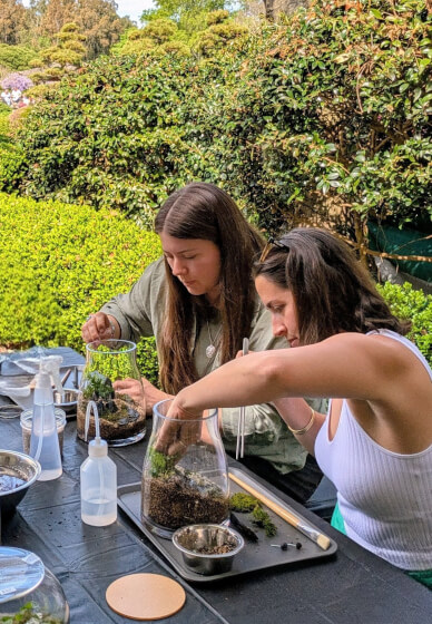 Japanese Zen Terrarium Workshop at the Gosford Edogawa Gardens