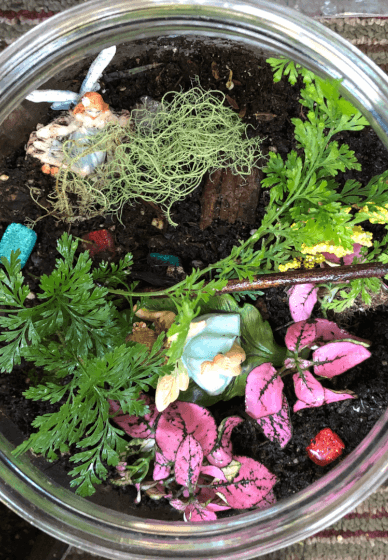Kids Adventure Terrarium Workshop