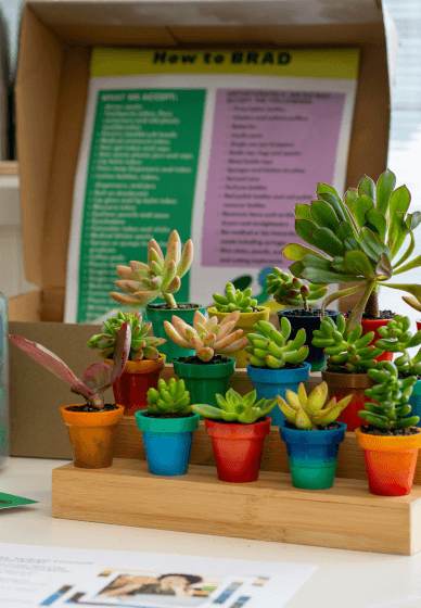 Kids Eco Gardening & Recycling Workshop (Ages 8–16)
