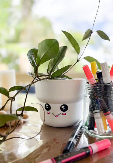 Kids Paint a Pot Workshop - with Plant