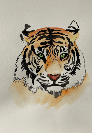 Kids Watercolour Painting Class: Eye of the Tiger