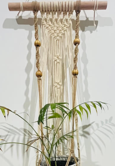 Knot and Grow: Macrame Plant Hanging Workshop