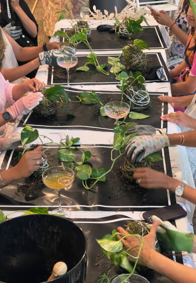 Kokedama Making Workshop with Live Moss