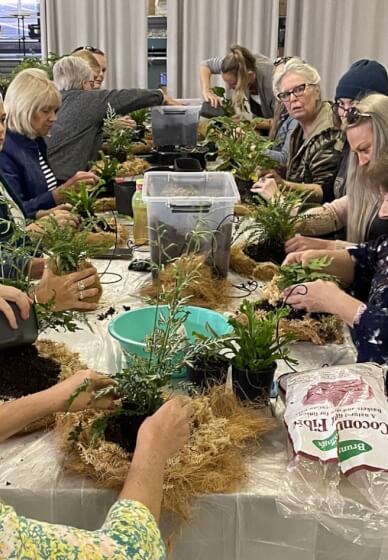 Kokedama Moss Ball Workshop