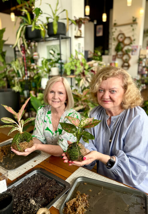Kokedama Workshop: Create Your Own Moss Ball Magic