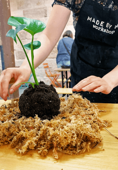 Kokedama Workshop: Make Three Plants