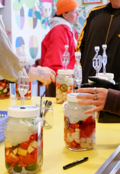 Lacto-Fermented Hot Sauce Workshop