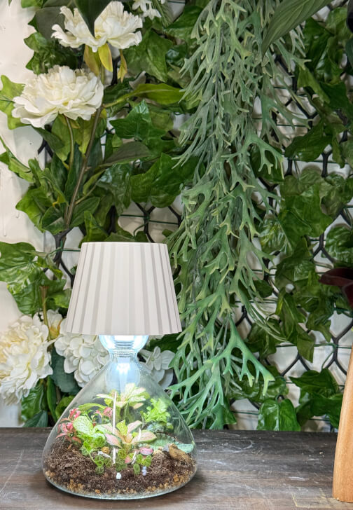 Lamp Terrarium Workshop