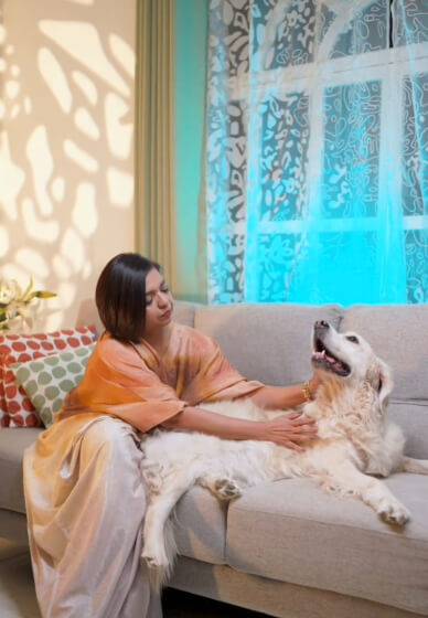 Learn Animal Reiki Healing and Communication