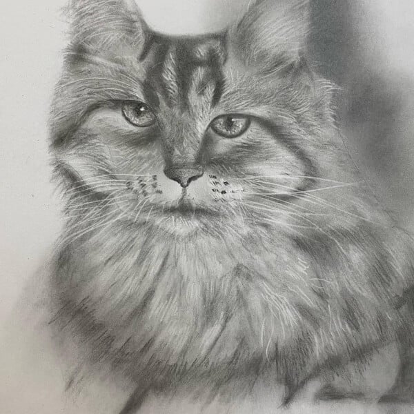 Learn Drawing for Beginners, Online class, Gifts