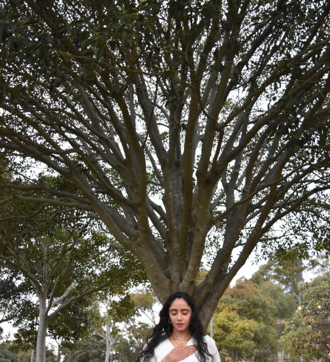 Learn Mindfulness (non-religious) Meditation from Home