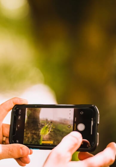 Learn Smartphone Photography for Team Building