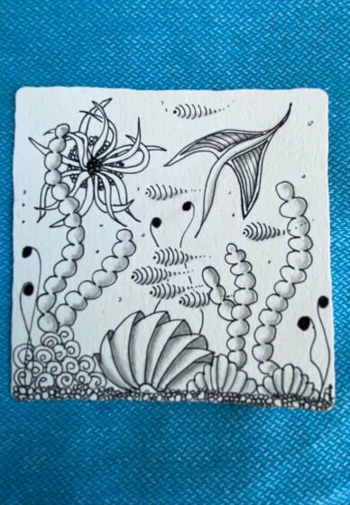 Learn Zentangle® Art: Underwater World | Online class & kit | Gifts ...
