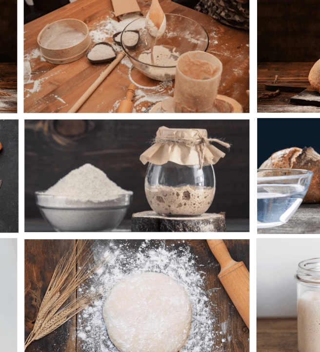 Let's Make Sourdough Starter Workshop (GF Friendly)