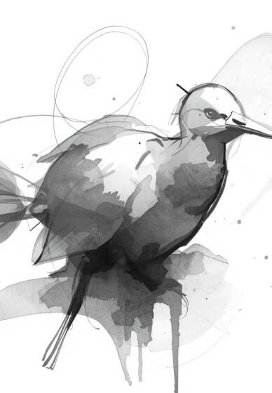 Light, Shadow and Tone Workshop for Beginners