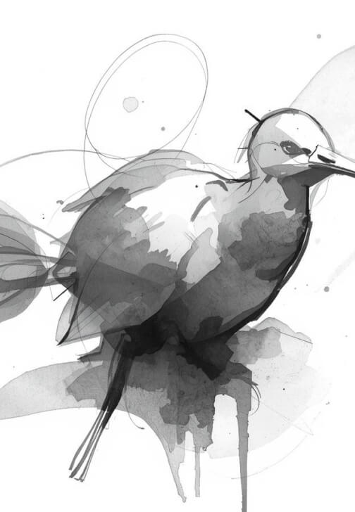 Light, Shadow and Tone Workshop for Beginners