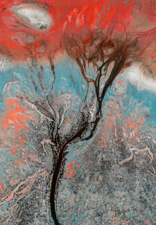 Lightroom Classic Workshop