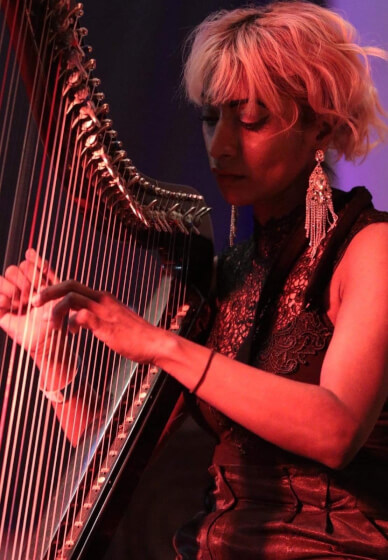 Harp and Junk Journalling Creative Night Workshop