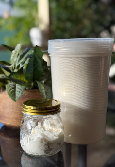 Low Tox Cleaning DIY Workshop