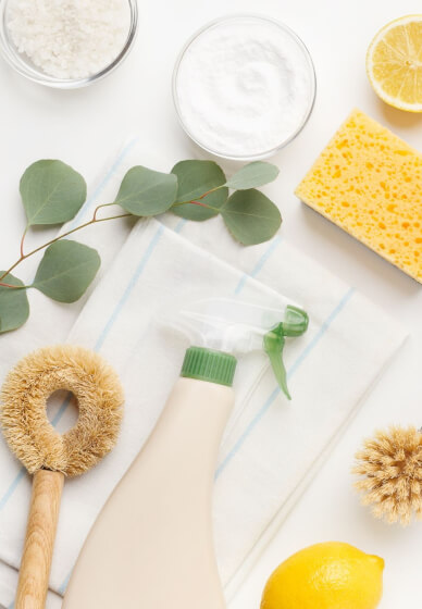 Low-Tox Green Cleaning Workshop
