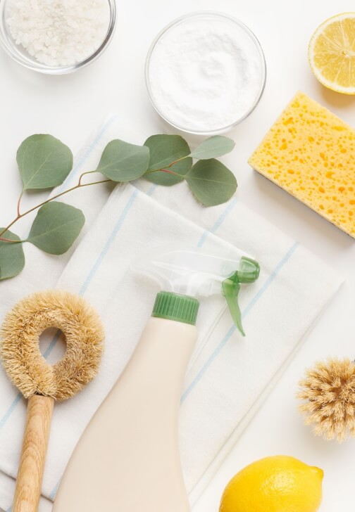 Low-Tox Green Cleaning Workshop