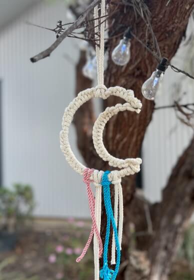 Macrame Animal Wall Hanging Workshop and Animal Experience
