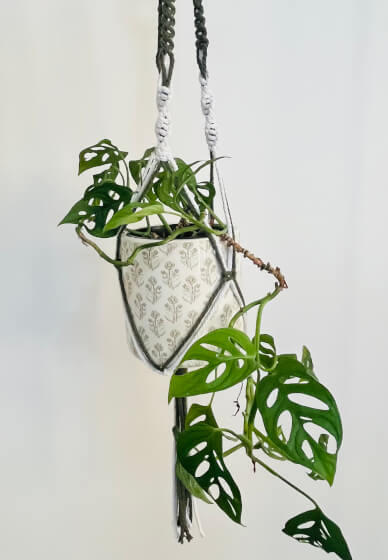 Macrame Plant Hanger Class
