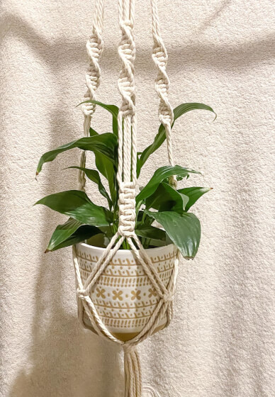 Macrame Plant Hanger Workshop