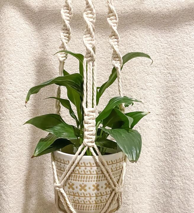 Macrame Plant Hanger Workshop