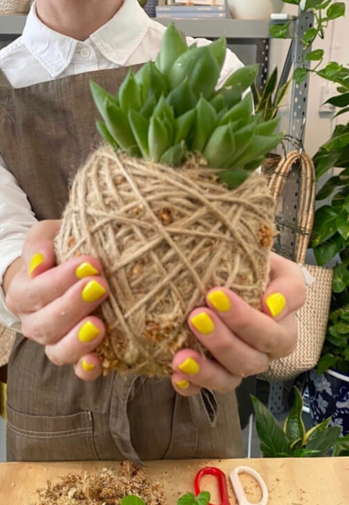 Make a DIY Kokedama