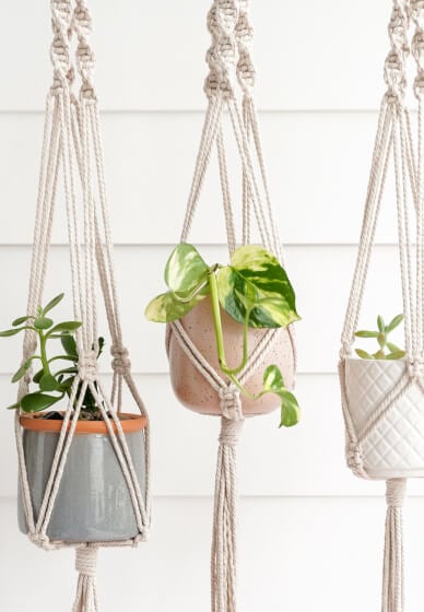 Make a DIY Macramé Pot Hanger at Home