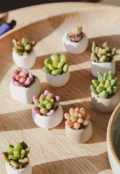 Make a Mini Succulent Garden with Polymer Clay