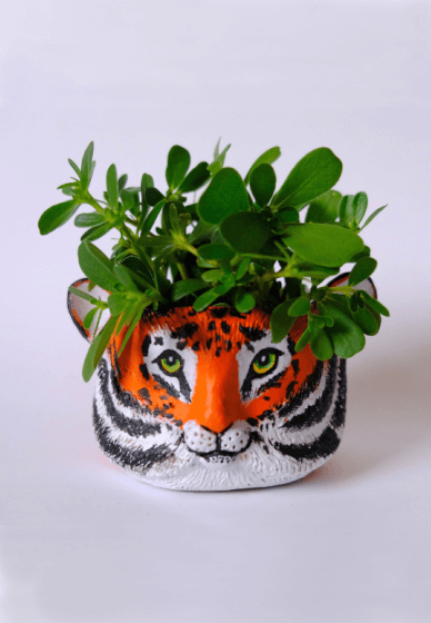 Make a Tiger Planter at Home