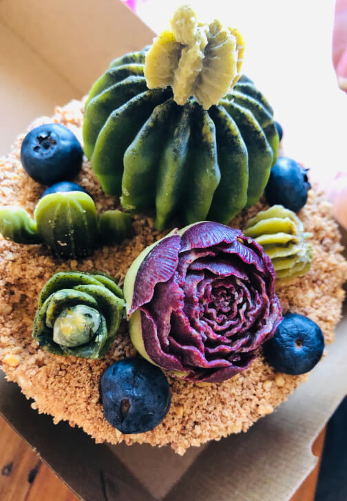 Make a Vegan Chocolate Succulents Bowl at Home